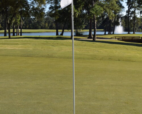 dsc_0545_51680796599_o dsc_0545_51680796599_o